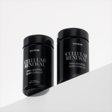 VIVORUM PR KIT